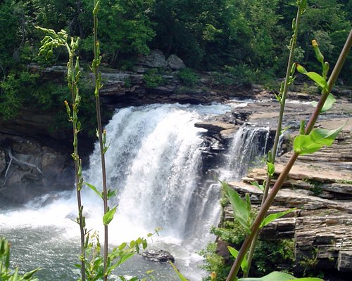 What to See in Alabama at Cherokee County - Tourist Attractions